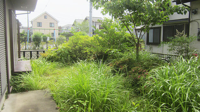 個人宅の庭の草刈前の写真